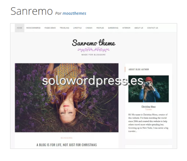Los Mejores Temas para Artistas de WordPress - SanRemo