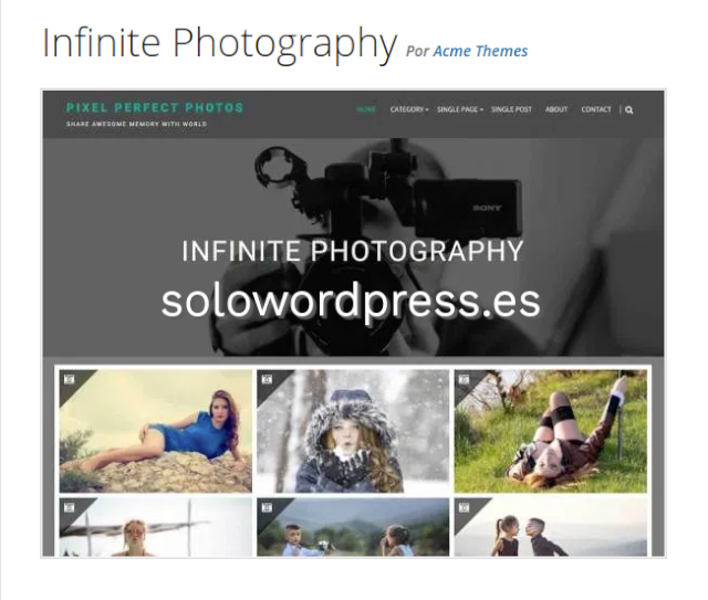 Los Mejores Temas para Artistas de WordPress - Infinite Photography