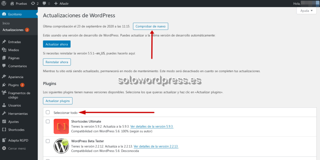 Actualizar Plugins en WordPress - Posibles acciones