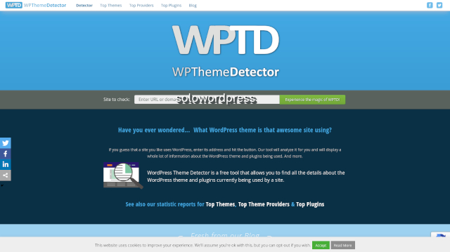 Identificar este Tema de WordPress - WPTD